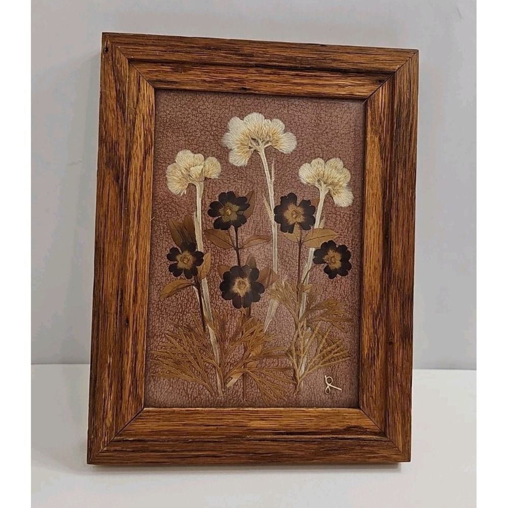 VTG Darien Russell 1992 Pressed Pussytoes Flower Framed Art Rustic‎ 9"x 6 3/4"